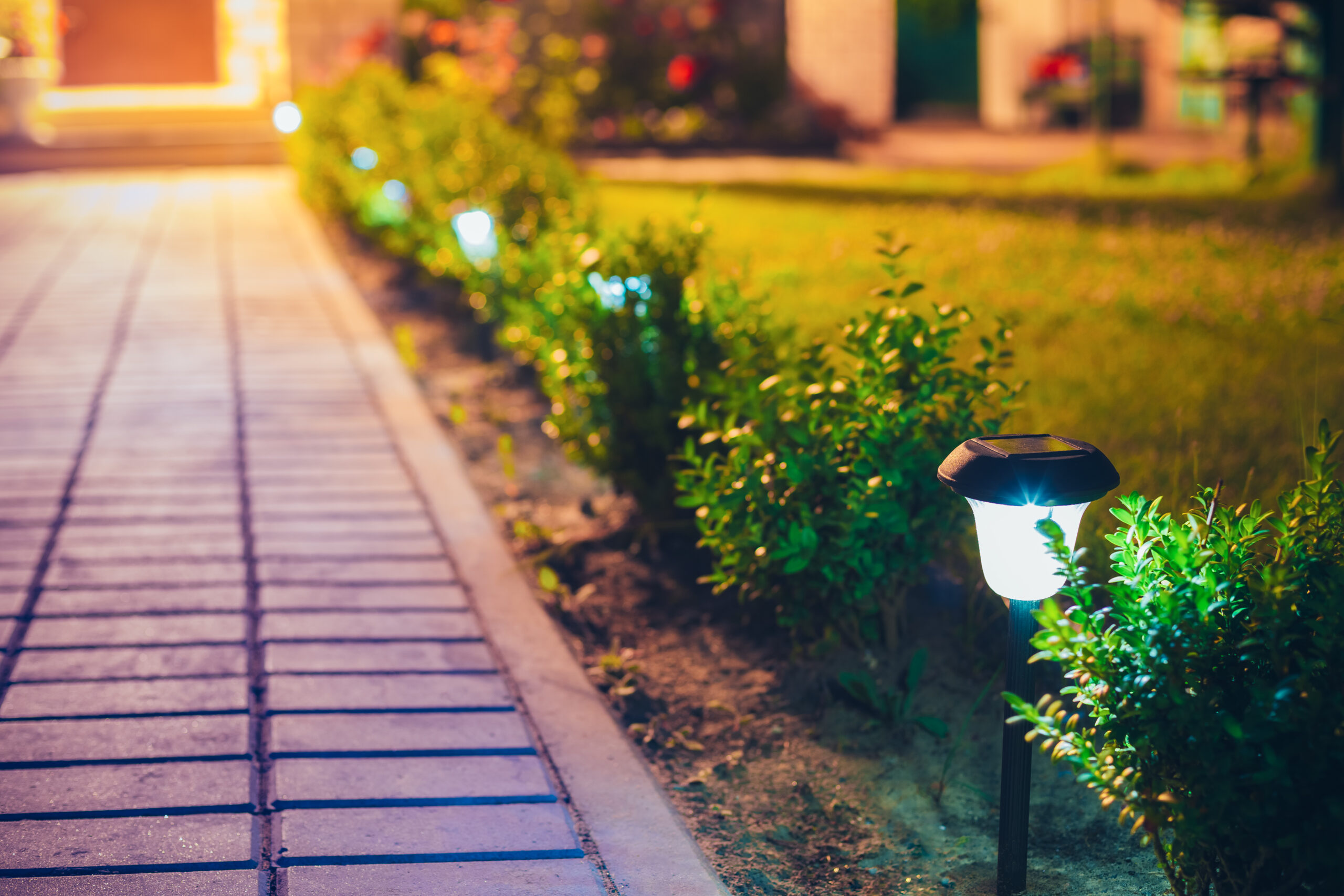 A picture of solar lights in a garden with a pathway