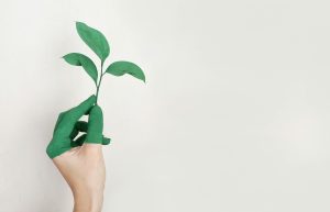 Sustainable Living in 2025: 12 Simple Changes That Actually Make a Difference